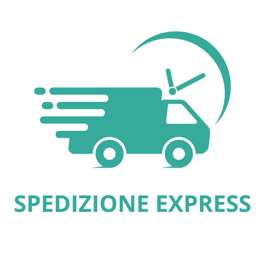 Spedizione Express